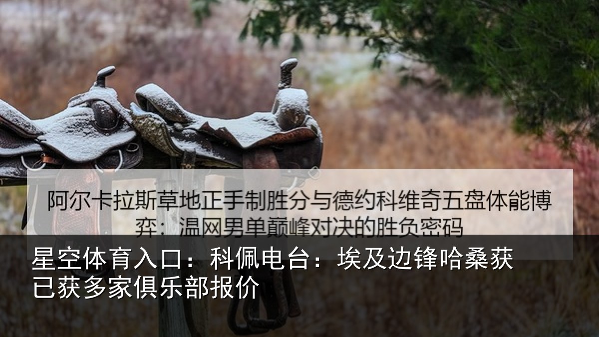 星空体育入口:科佩电台:埃及边锋哈桑获已获多家俱乐部报价