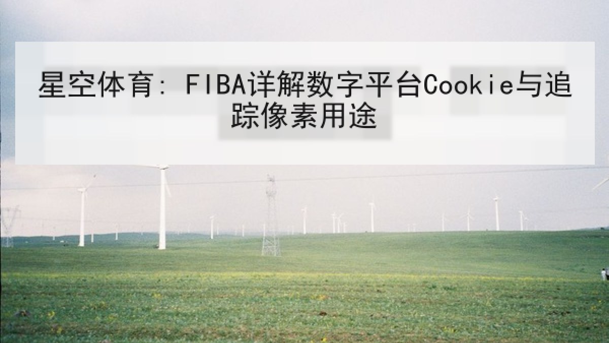 星空体育: FIBA详解数字平台Cookie与追踪像素用途