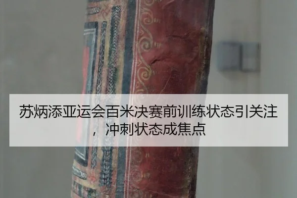 su-bing-tian-ya-yun-hui-bai-mi-jue-sai-qian-xun-lian-zhuang-tai-yin-guan-zhu-chong-ci-zhuang-tai-cheng-jiao-dian-2-449.jpg