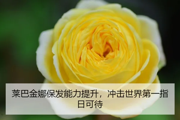 lai-ba-jin-na-bao-fa-neng-li-ti-sheng-chong-ji-shi-jie-di-yi-zhi-ri-ke-dai-3-964.jpg