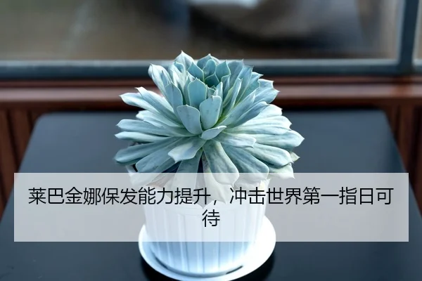 莱巴金娜保发能力提升，冲击世界第一指日可待