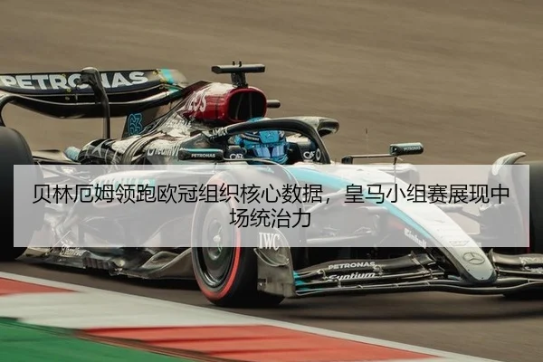 bei-lin-e-mu-ling-pao-ou-guan-zu-zhi-he-xin-shu-ju-huang-ma-xiao-zu-sai-zhan-xian-zhong-chang-tong-zhi-li-2-304.jpg