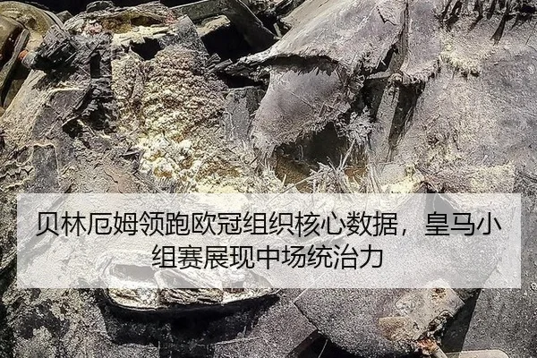 bei-lin-e-mu-ling-pao-ou-guan-zu-zhi-he-xin-shu-ju-huang-ma-xiao-zu-sai-zhan-xian-zhong-chang-tong-zhi-li-3-858.jpg