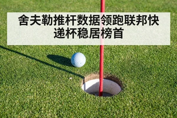舍夫勒推杆数据领跑联邦快递杯稳居榜首