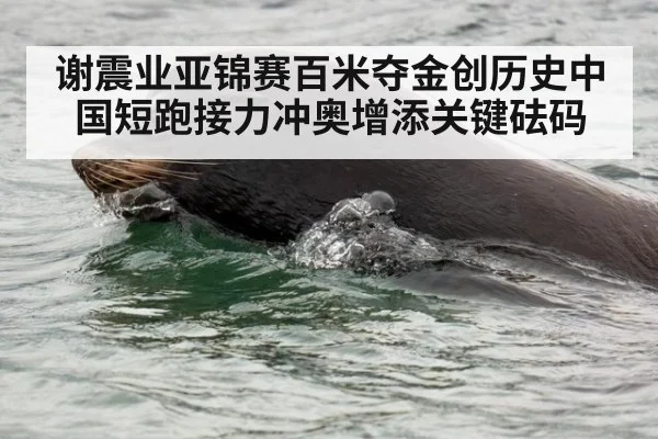 谢震业亚锦赛百米夺金创历史中国短跑接力冲奥增添关键砝码